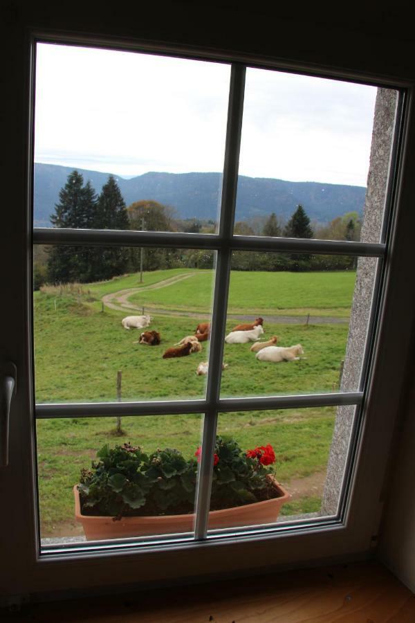 Viaux-Fontaine Villa Saulxures-sur-Moselotte Exterior photo